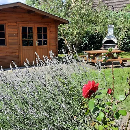 Ferienhaus Sasse Ferienwohnungen Mit Garten & Grill Molschow Exterior photo
